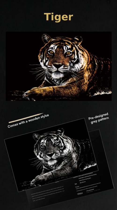 Scratch Art - Wild Life Edition